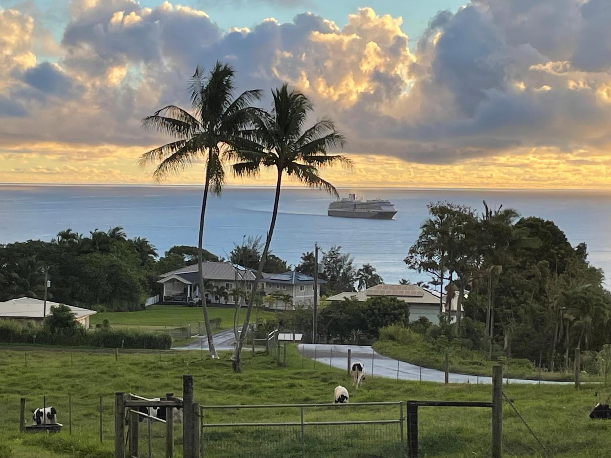Hawaii Magic Skies Farmstay Paukaa Exterior foto